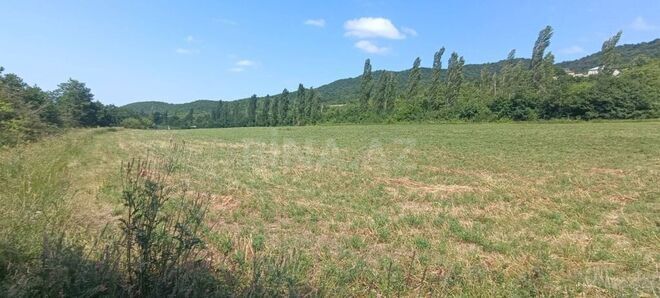 Продаётся  участок 20 сот, photo 6 from 12