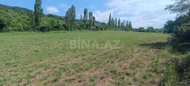 Продаётся  участок 20 сот, photo 9 from 12