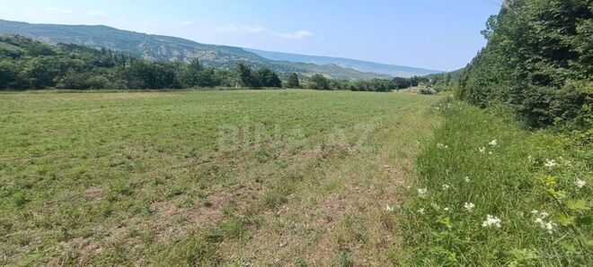 Продаётся  участок 20 сот, photo 5 from 12