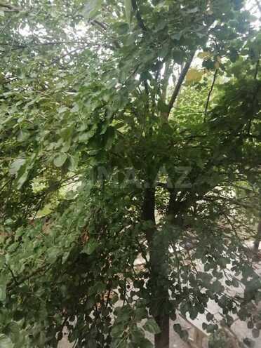 Satılır 7 otaqlı həyət evi/bağ evi 380 m², photo 4 from 28