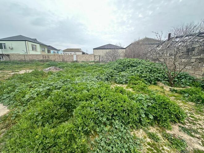 Satılır  torpaq 16 sot, Binə q., photo 3 from 12