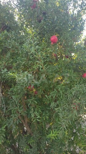 Продаётся  участок 4.8 сот, пос. Зых, photo 3 from 8