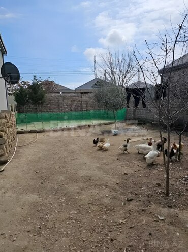 Продаётся 4-комн. дом/дача 110 м², пос. Бина, photo 18 from 20