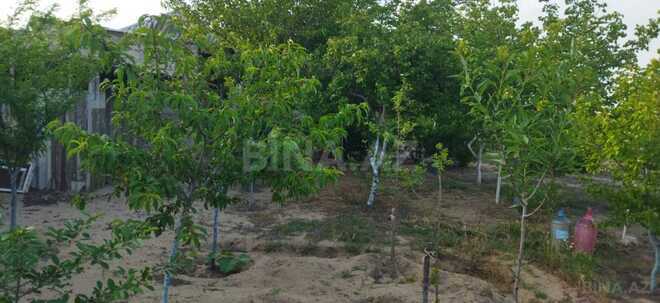 Satılır 2 otaqlı həyət evi/bağ evi 70 m², Qala q., photo 22 from 30