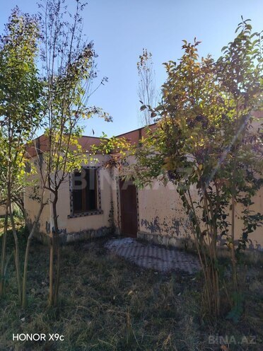 Satılır  obyekt 2 000 m², photo 10 from 23