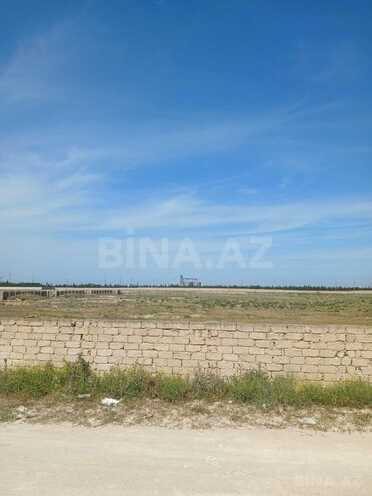 Satılır  torpaq 500 sot, Zirə q., photo 3 from 6