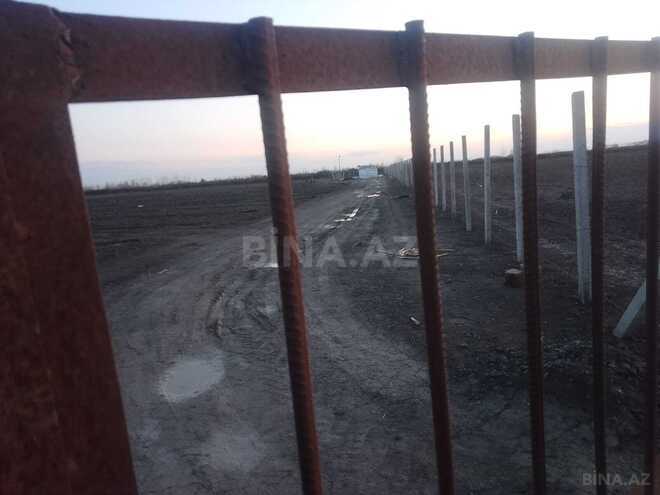 Satılır  torpaq 217 sot, photo 3 from 8