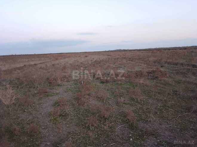 Satılır  torpaq 217 sot, photo 7 from 8