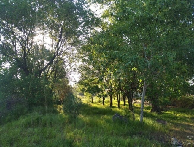 Продаётся  объект 300 м², photo 7 from 11