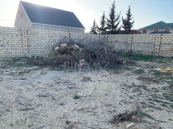 Продаётся  участок 8 сот, пос. Нардаран, photo 11 from 12