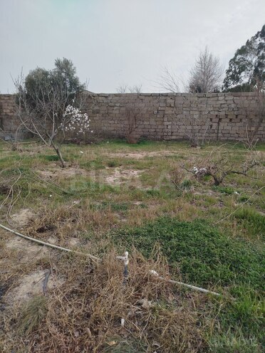 Satılır  torpaq 4.8 sot, Görədil q., photo 4 from 6