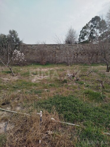 Satılır  torpaq 4.8 sot, Görədil q., photo 3 from 6