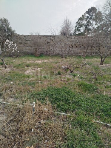 Satılır  torpaq 4.8 sot, Görədil q., photo 5 from 6