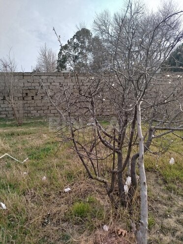 Satılır  torpaq 5 sot, Görədil q., photo 6 from 7