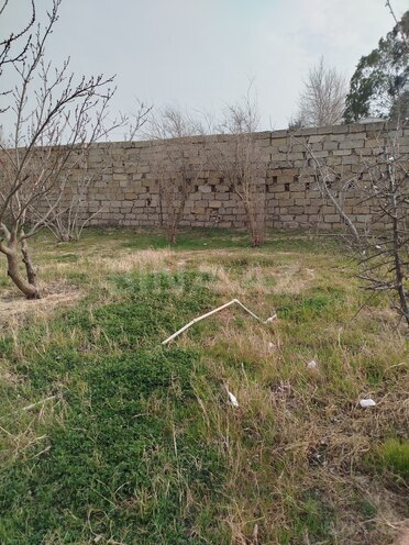 Satılır  torpaq 5 sot, Görədil q., photo 5 from 7