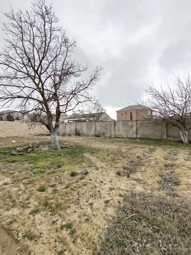 Satılır  torpaq 3.6 sot, Görədil q., photo 4 from 7