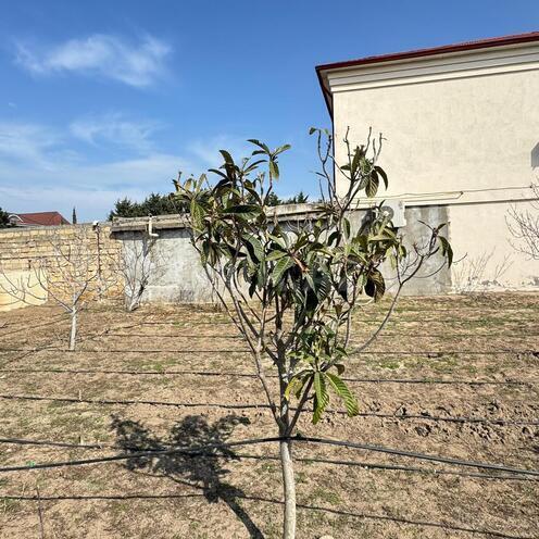 Satılır  torpaq 3 sot, Novxanı q., photo 14 from 25