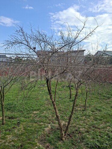 Satılır  torpaq 12 sot, Mərdəkan q., photo 12 from 13