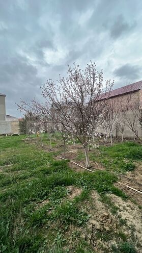 Satılır  torpaq 6 sot, Ceyranbatan q., photo 6 from 8