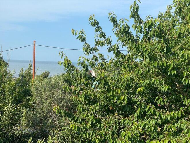 İcarəyə verilir 4 otaqlı həyət evi/bağ evi 200 m², Nabran r., photo 20 from 22