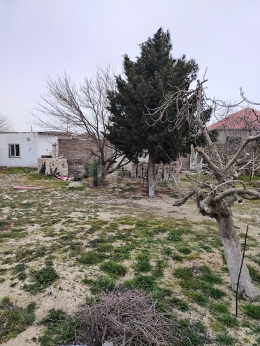 Продаётся  участок 3.5 сот, пос. Говсан, photo 1 from 5