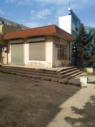 Satılır  obyekt 35 m², photo 10 from 14