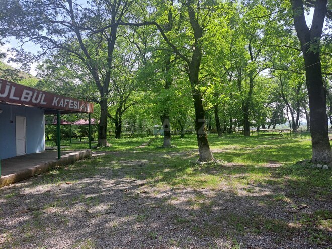 Satılır  torpaq 60 sot, photo 7 from 14