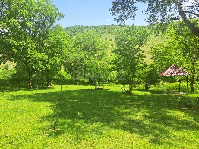 Satılır  torpaq 60 sot, photo 3 from 14