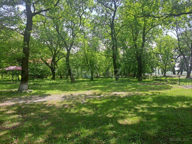 Satılır  torpaq 60 sot, photo 8 from 14