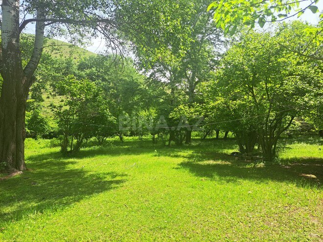 Satılır  torpaq 60 sot, photo 5 from 14