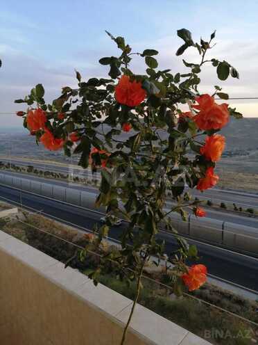 İcarəyə verilir 2 otaqlı yeni tikili 80 m², Yeni Yasamal q., photo 13 from 21