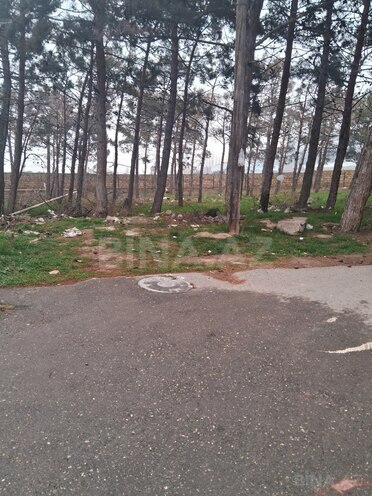 Продаётся  участок 6 сот, пос. Биладжары, photo 5 from 7