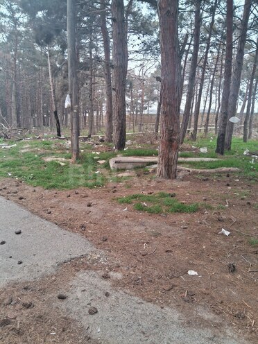 Продаётся  участок 6 сот, пос. Биладжары, photo 3 from 7