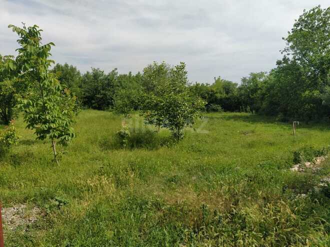 Satılır  torpaq 40 sot, photo 21 from 31