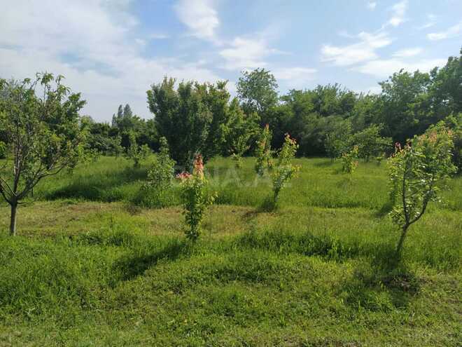 Satılır  torpaq 40 sot, photo 29 from 31