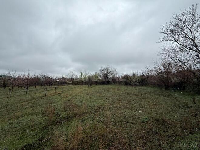 Satılır  torpaq 40 sot, photo 16 from 31