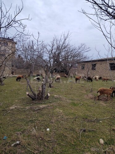 Satılır  torpaq 22 sot, Novxanı q., photo 6 from 16