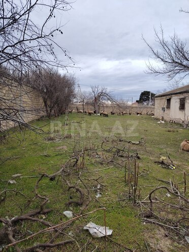 Satılır  torpaq 22 sot, Novxanı q., photo 5 from 16