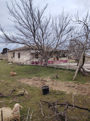 Satılır  torpaq 22 sot, Novxanı q., photo 7 from 16