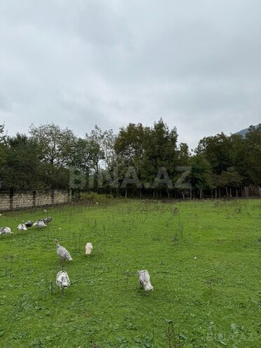 Satılır  torpaq 4 sot, photo 12 from 13