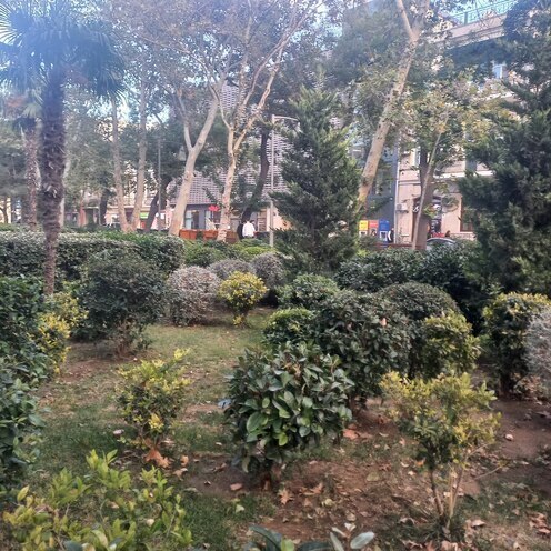 Сдаётся  объект 580 м², м. Сахил, photo 6 from 22