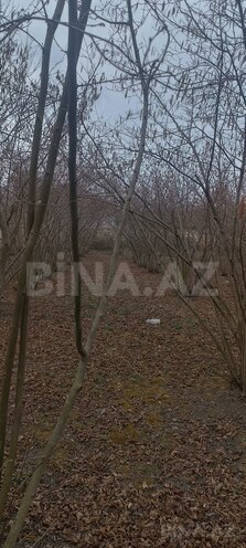 Продаётся  участок 9 сот, photo 3 from 4