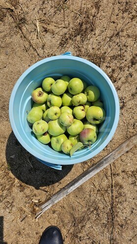 Satılır 9 otaqlı həyət evi/bağ evi 400 m², Nardaran q., photo 31 from 32