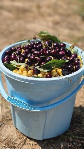 Satılır 9 otaqlı həyət evi/bağ evi 400 m², Nardaran q., photo 30 from 32