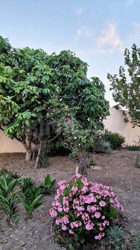 Продаётся 7-комн. дом/дача 180 м², пос. Дюбенди, photo 15 from 17