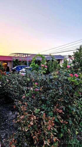 Продаётся 7-комн. дом/дача 180 м², пос. Дюбенди, photo 16 from 17