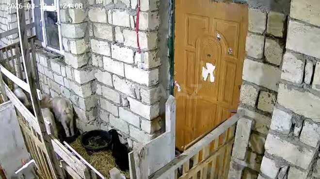 Satılır  obyekt 300 m², Masazır q., photo 13 from 17