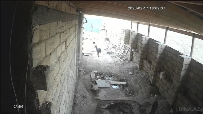 Satılır  obyekt 300 m², Masazır q., photo 16 from 17