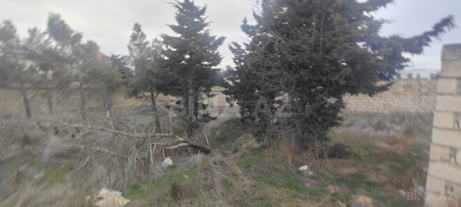 Продаётся  участок 6 сот, Низаминский  р., photo 4 from 8