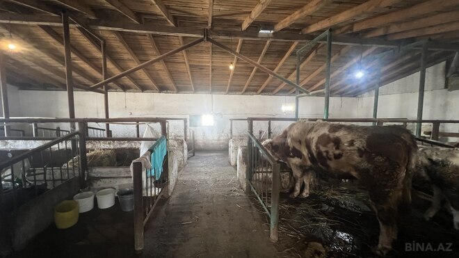 Satılır  torpaq 450 sot, Ramana q., photo 13 from 21